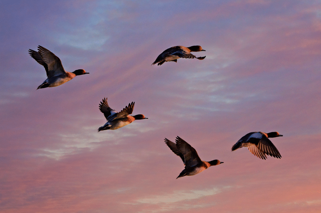 AI in Predicting Wildlife Migration